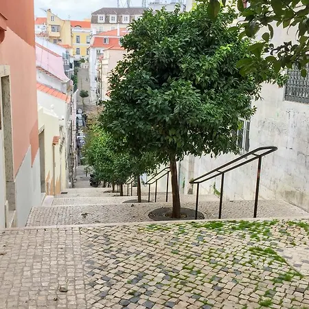아파트 Bica-chiado Vintage Self-catering *